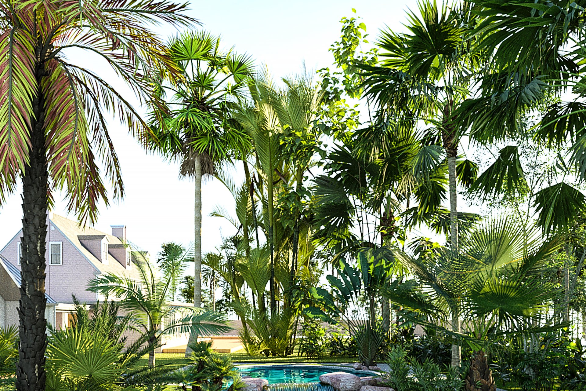 Tropical Pool Garden — image 1