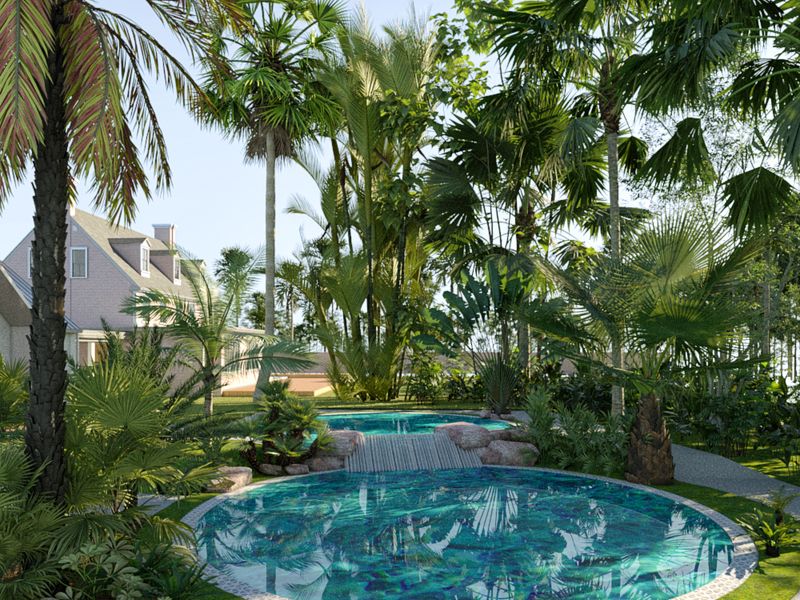 Tropical Pool Garden