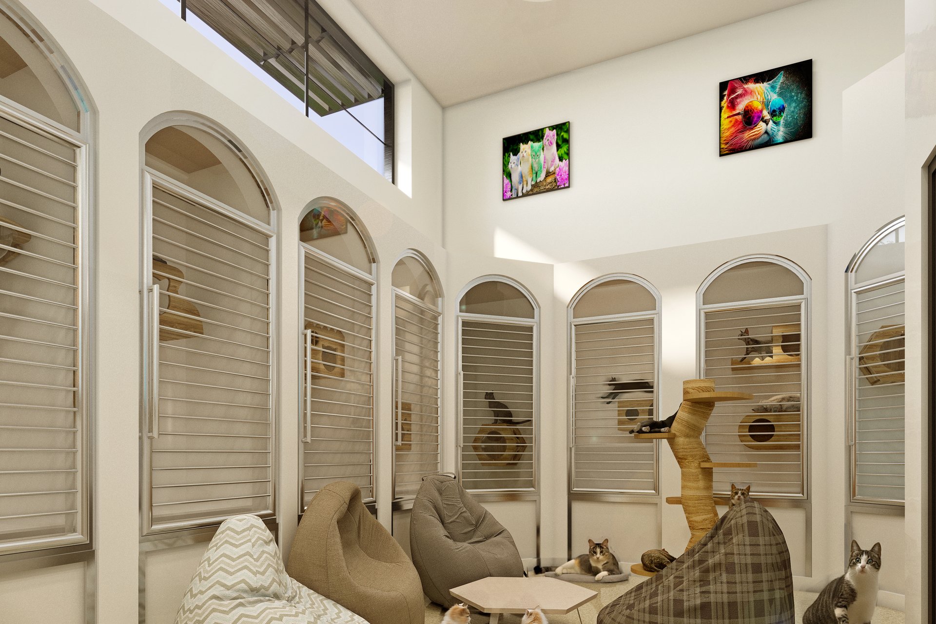 Barks and Board Pet Resort — Case Study — image 3