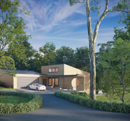Forest Single Family House Exterior Rendering